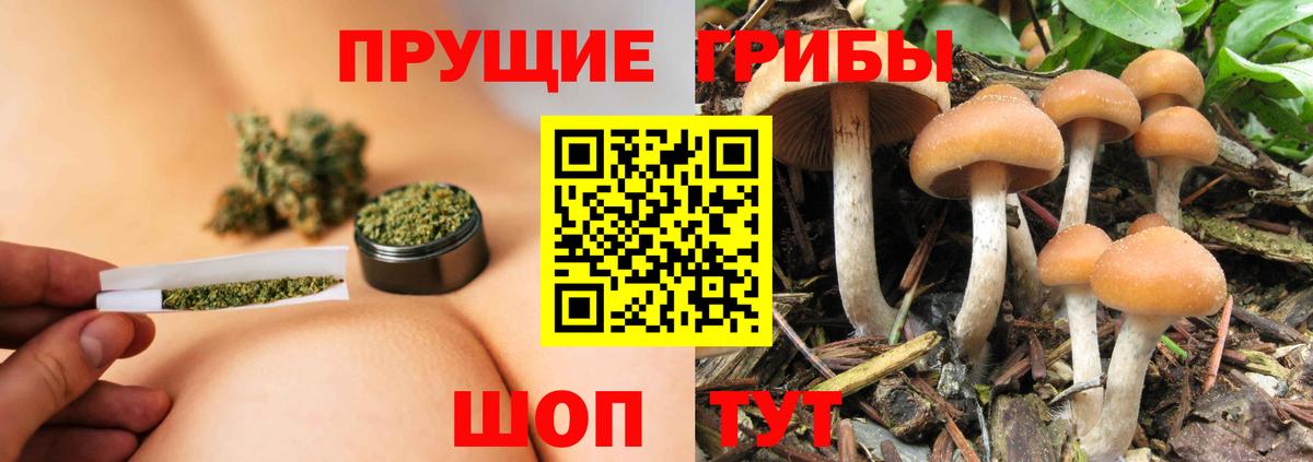 Псилоцибиновые грибы GOLDEN TEACHER  Галлюциногенные грибы Psilocybe  Петропавловск-Камчатский  Вход с VPN 
